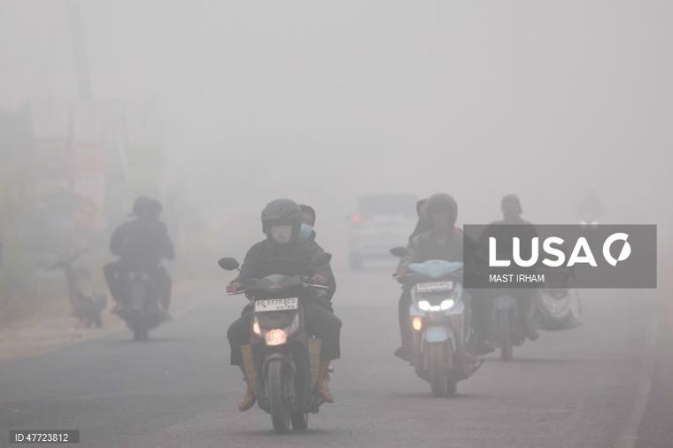 Indonésia: Uma densa névoa proveniente dos incêndios florestais em expansão espalha-se pelo sul de Sumatra 12 Imagens